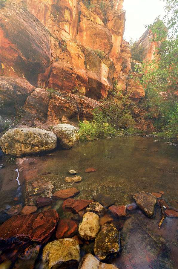 Fall Photograph - Red Rocks Creek by Saija Lehtonen