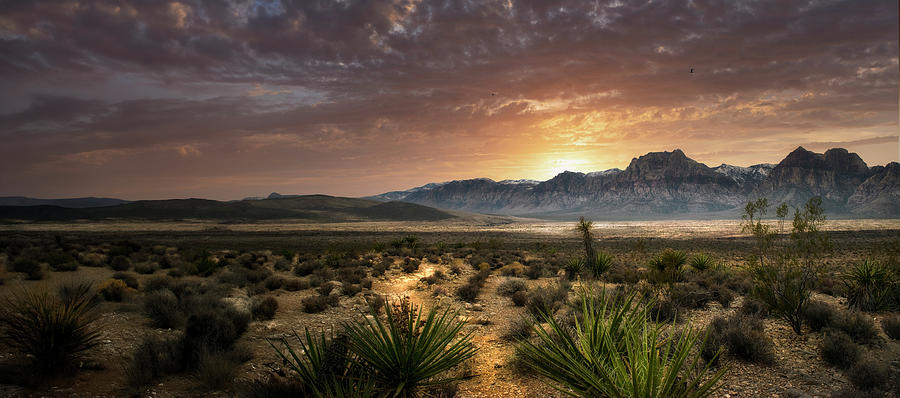 Sunset Photograph - Red Rocks Desert Sunset by Frank Wilson