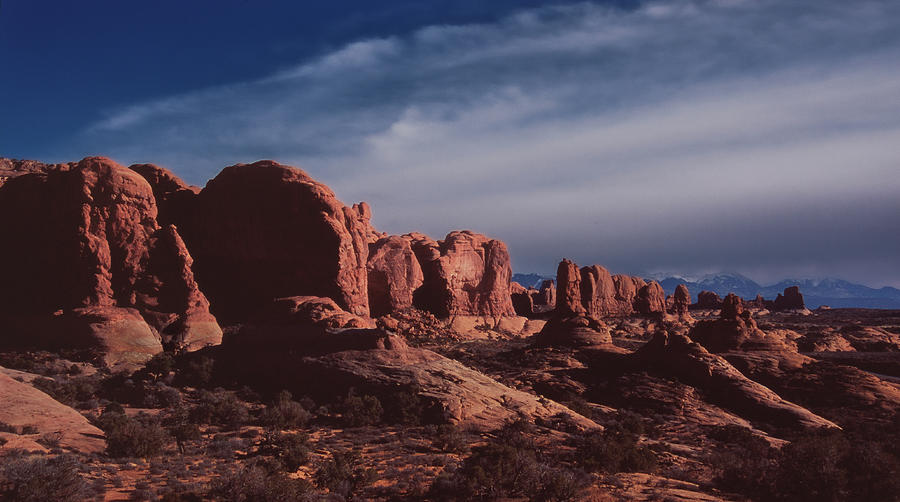 Red Rocks in Arches National Park Photograph by S Katz