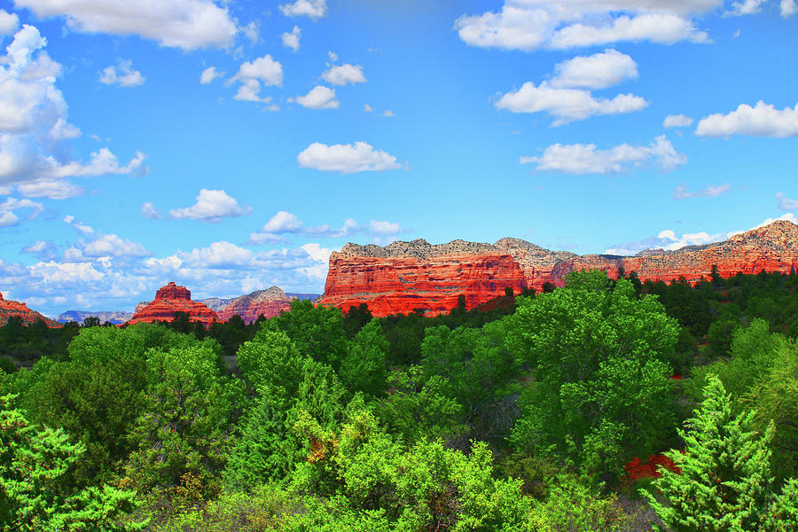 Red Rocks in Sedona Photograph by Ola Allen