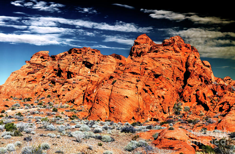 Red Rocks in the Valley of Fire Photograph by John Rizzuto