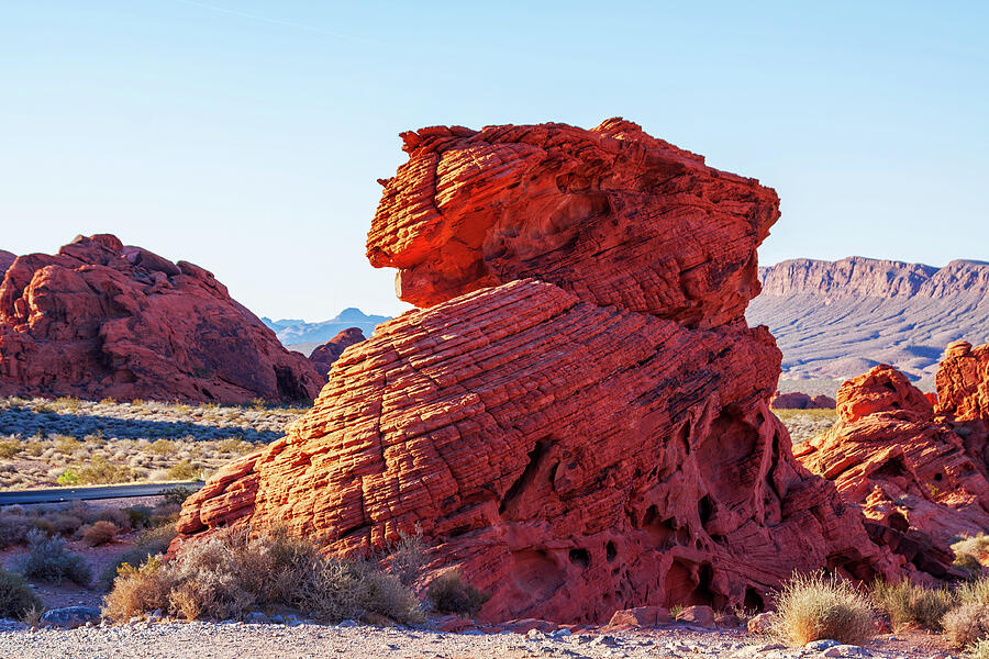 Red rocks - Valley of Fire, Nevada Photograph by Tatiana Travelways ...