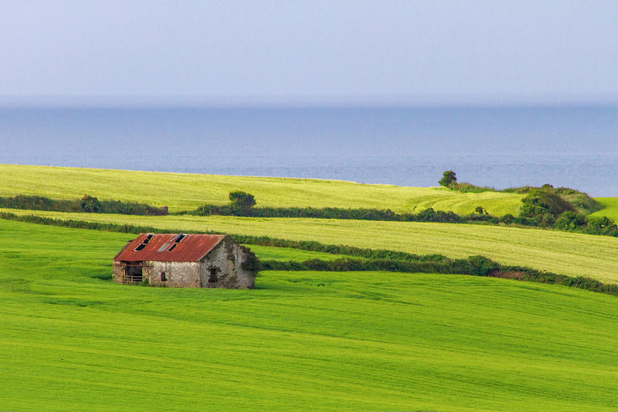 Red Roof Green Fields Photograph by Mark Callanan