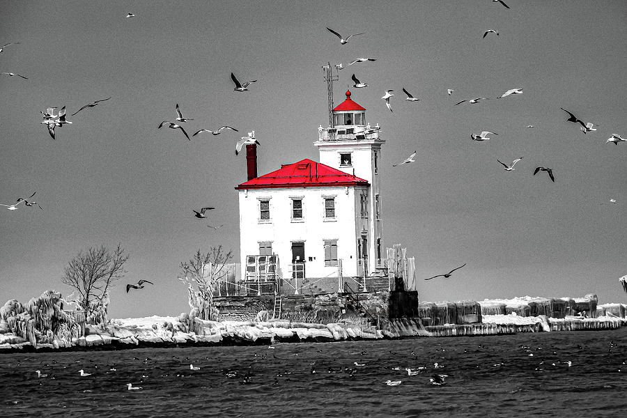 Red Roof Lighthouse Photograph By Christinemarie Images