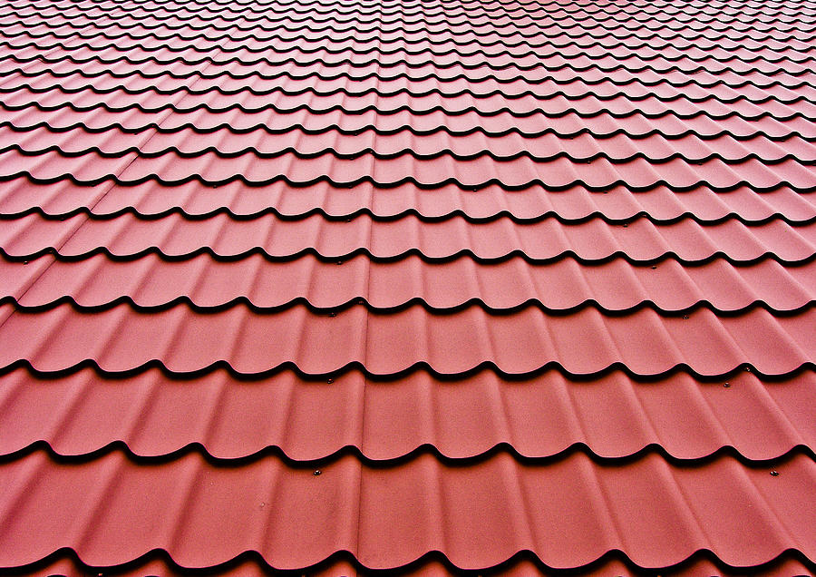 Red roof plates Photograph by Daniel Kulinski