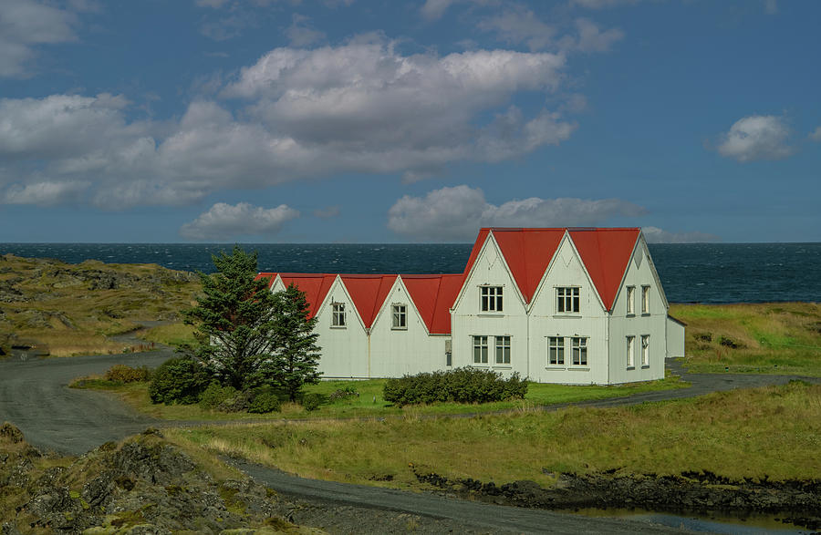 Red Roofs By The Sea Photograph by Marcy Wielfaert