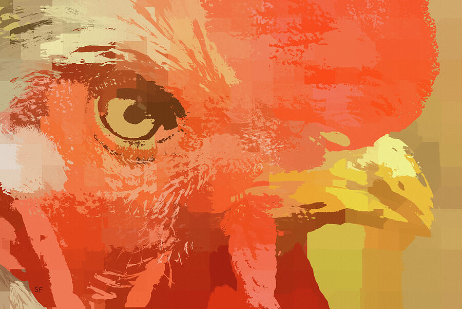 Red Rooster in Abstract  Digital Art by Shelli Fitzpatrick