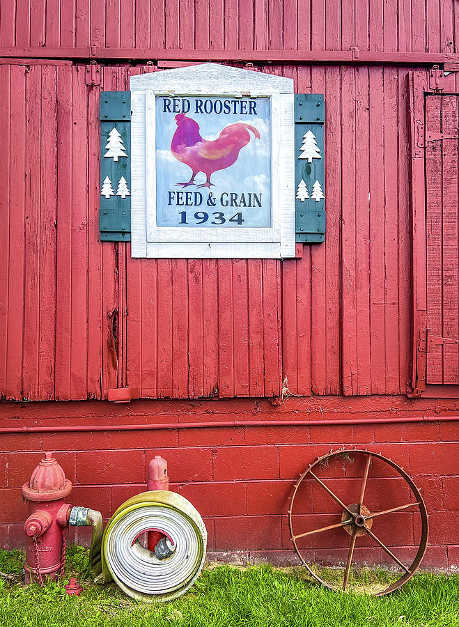 Red Rooster Photograph by Lloyd Gillies Red Rooster Photograph by Lloyd Gillies