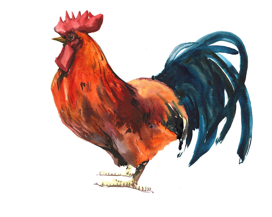 Red Rooster Painting by Suren Nersisyan - Fine Art America