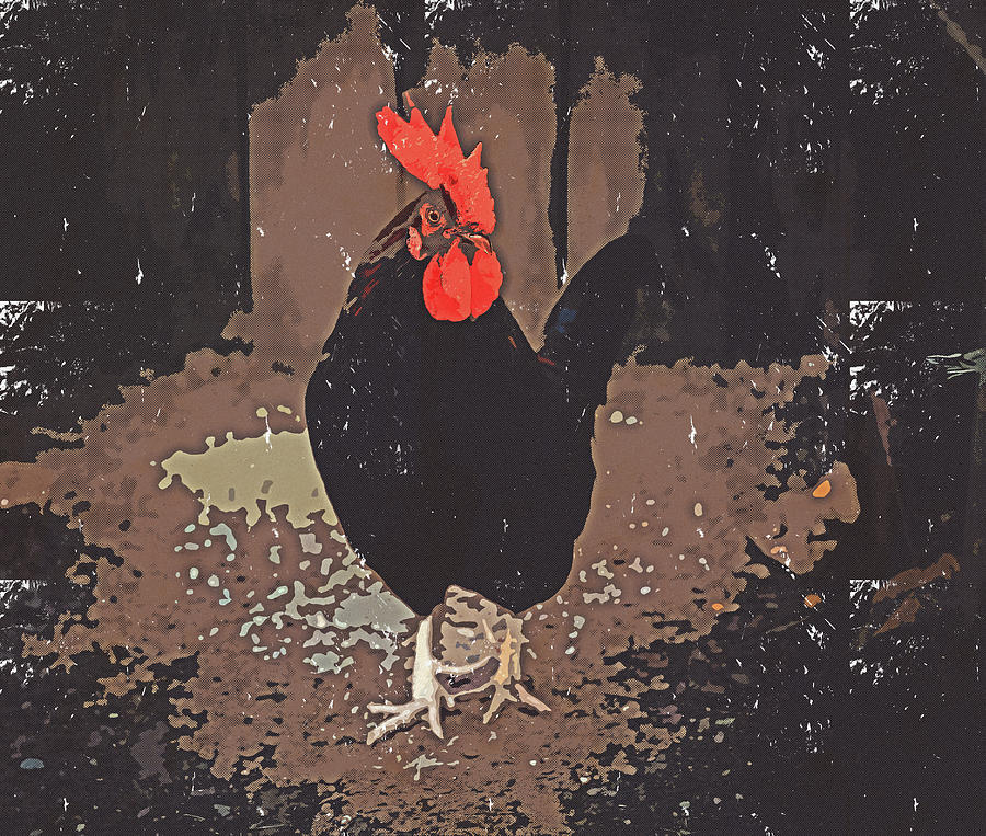 Red Rooster Vintage Style Mixed Media by Dan Sproul