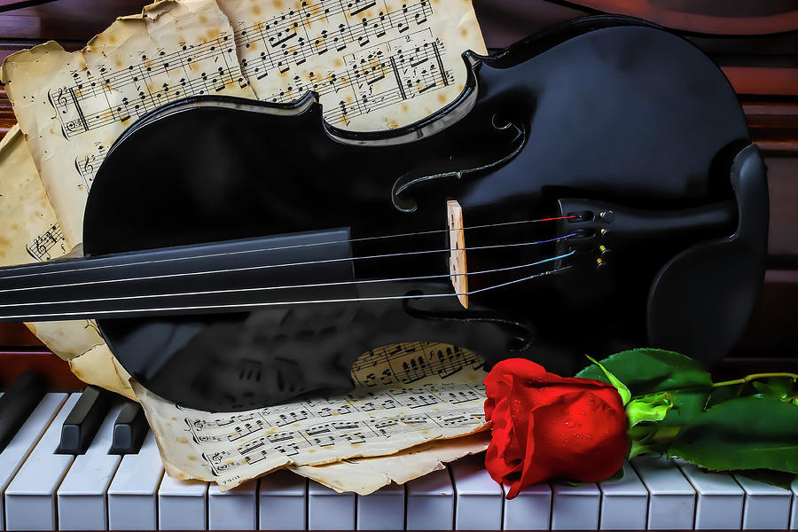 Red Rose And Black Violin On Piano Photograph by Garry Gay