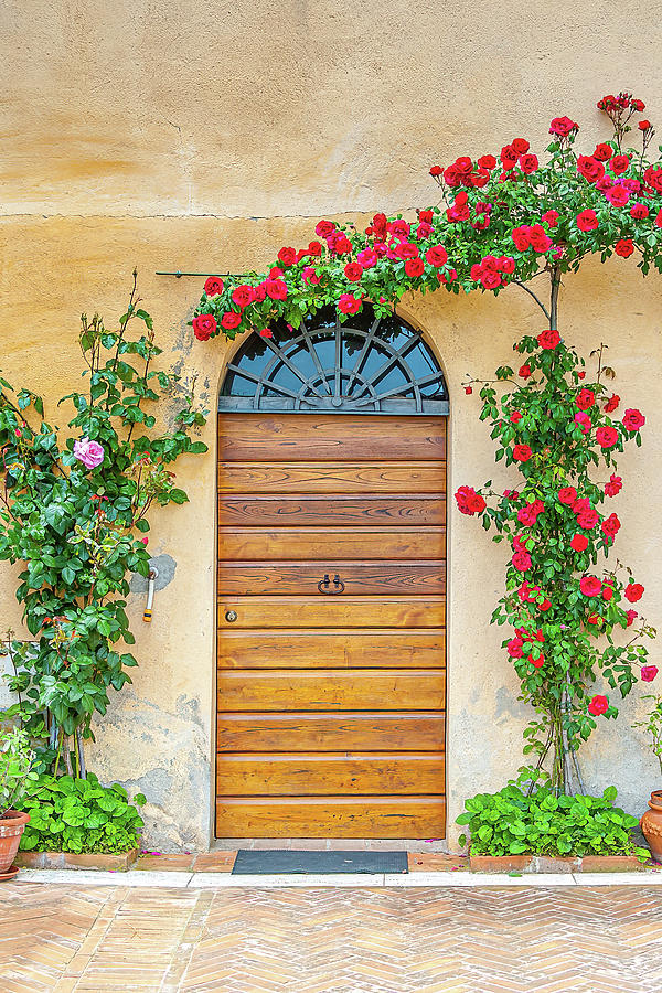 Italian Door Photograph - Red Rose Door by Marla Brown