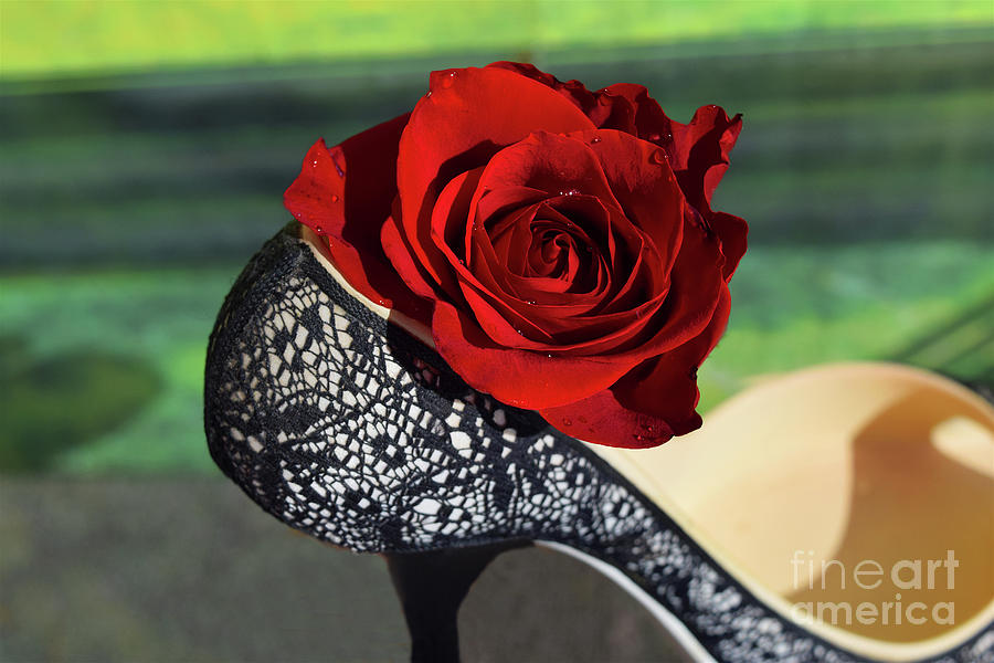 Red Rose Flower Shoe Photograph