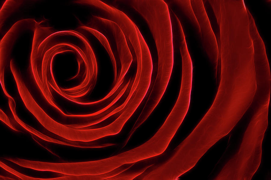 Red Rose Fractal Photograph by Adam Romanowicz