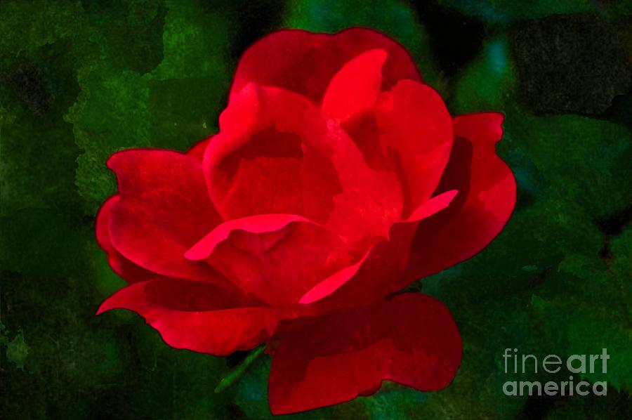 Red Rose in Watercolor Photograph by Robert Suggs