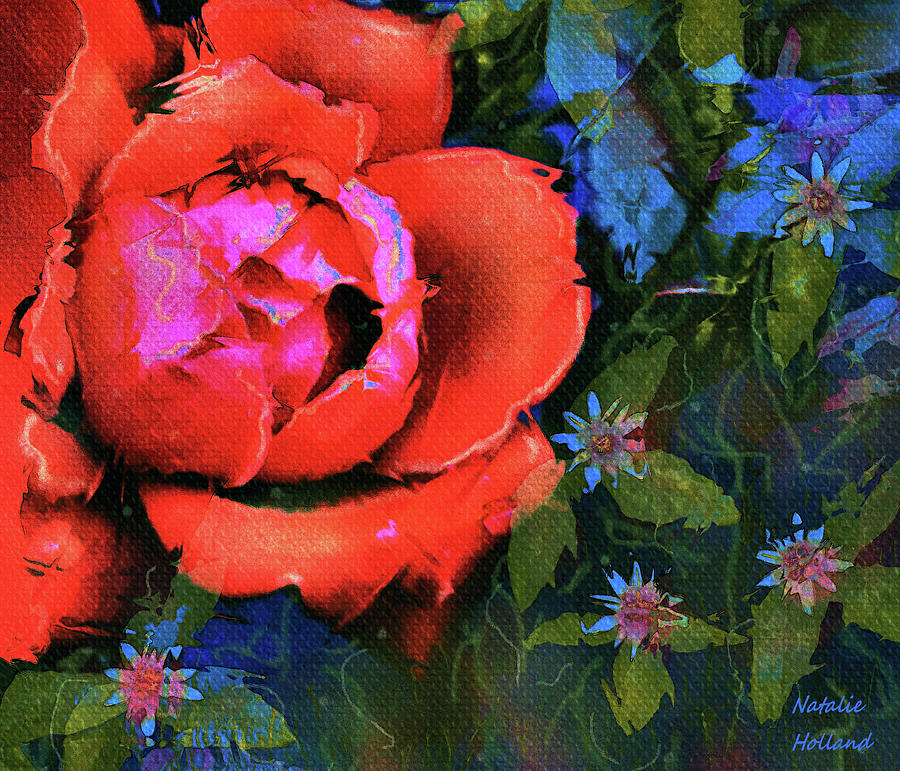 Red Rose Painting by Natalie Holland