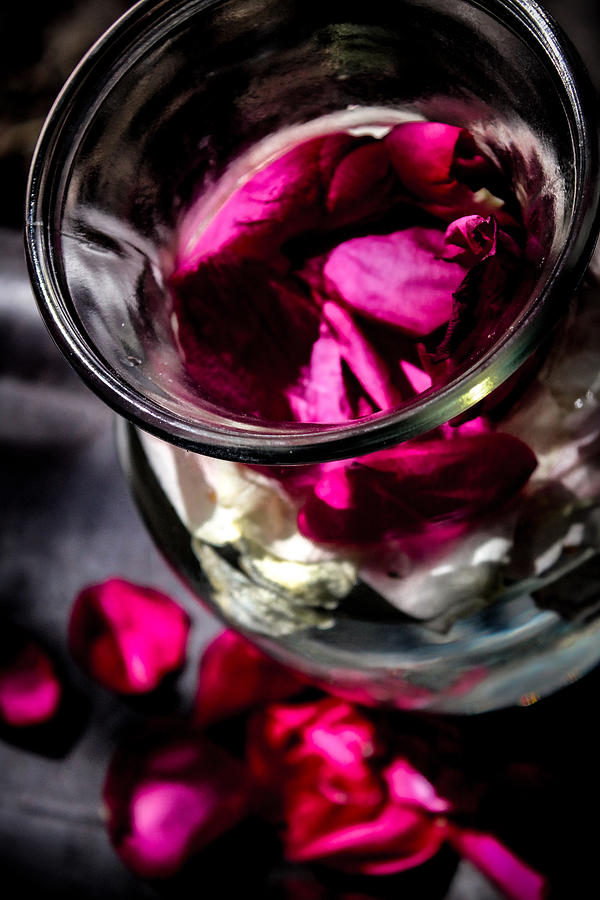 Red Rose Petals and a Vase Photograph by W Craig Photography