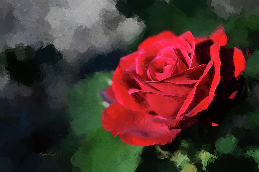 Red Rose Painting by Roger Snyder