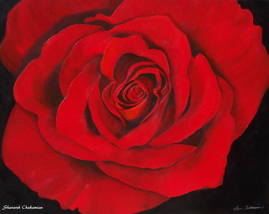 Red Rose Painting by Sheri Chakamian