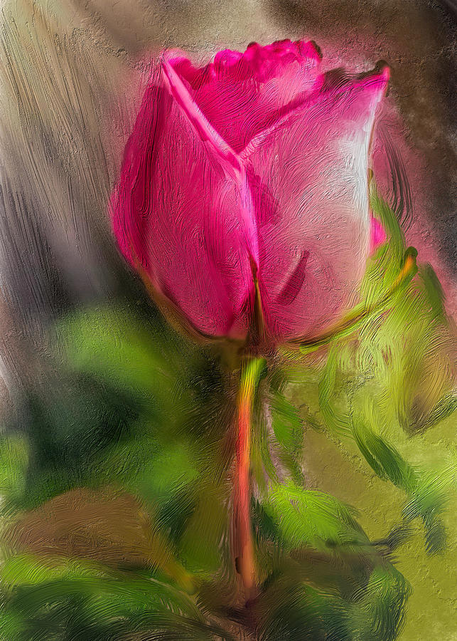  Red Rose With Digital Oils Digital Art by Cordia Murphy