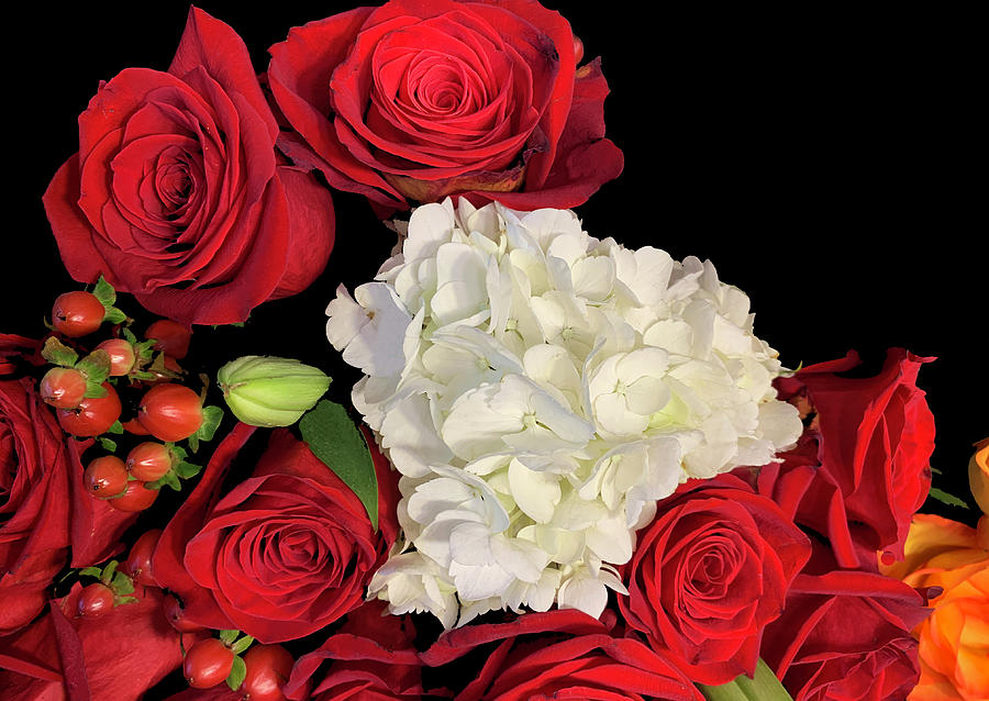 Red Roses and White Hydrangea Photograph by Diane Lindon Coy