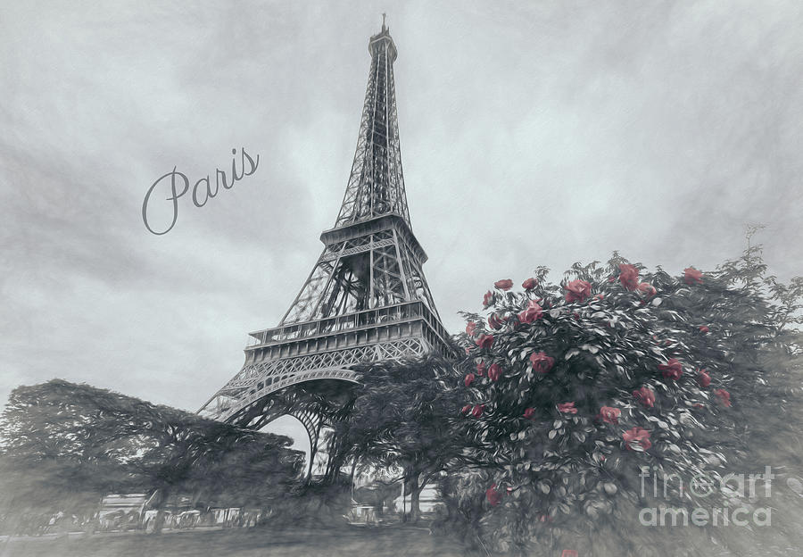 Black And White Photograph - Red Roses At Eiffel Tower Garden, Paris, Greyscale by Liesl Walsh