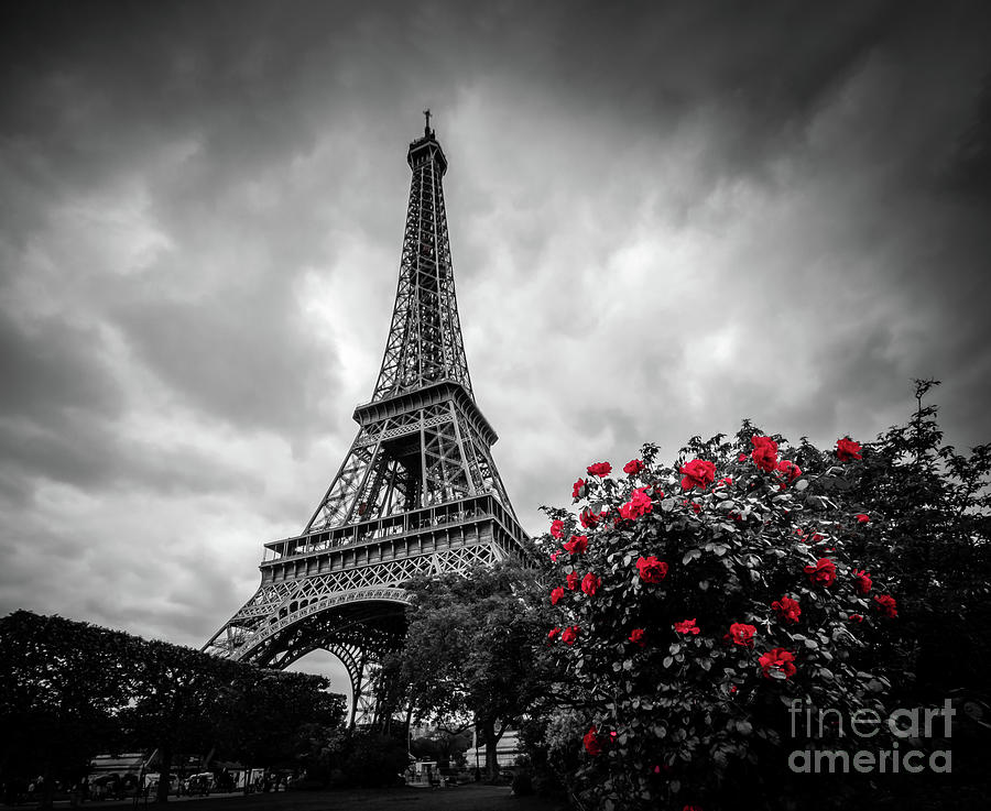 Red Roses At Eiffel Tower Garden, Paris Photograph by Liesl Walsh