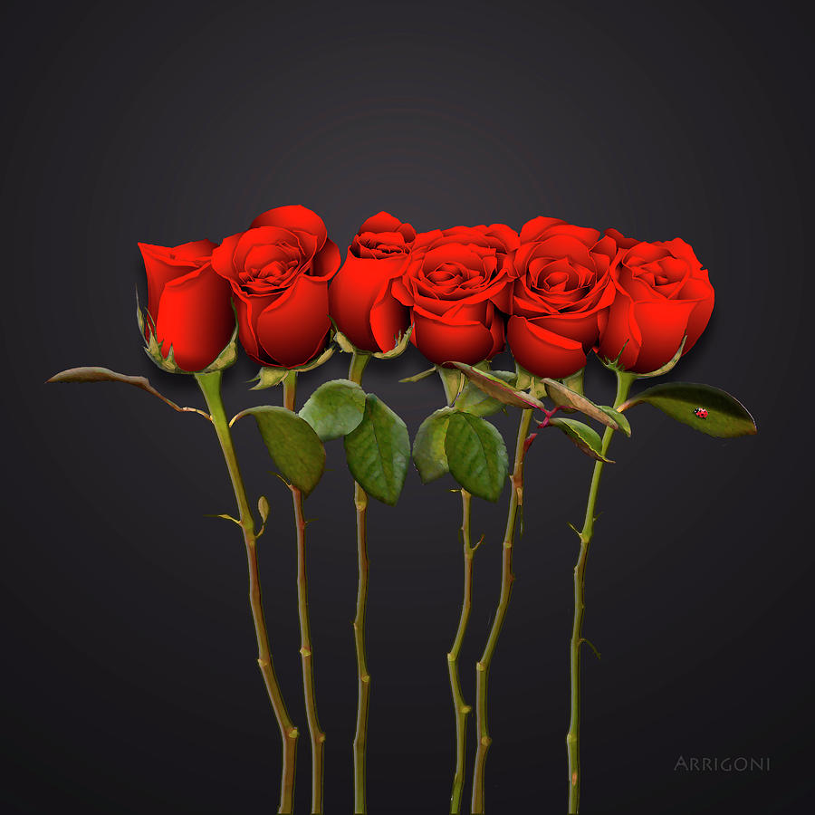 Red Roses Painting by David Arrigoni