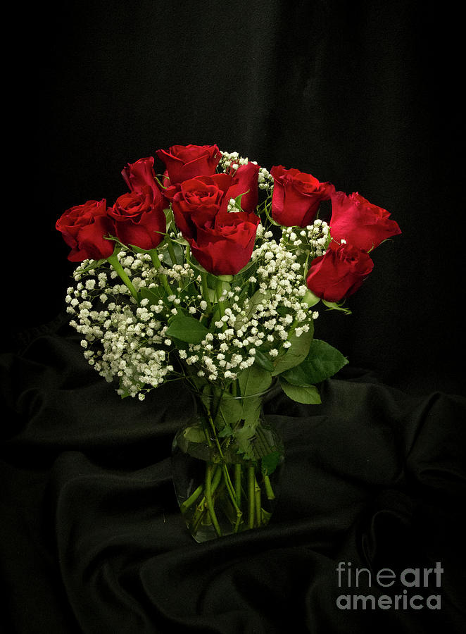 Red Roses Photograph by Louise Magno