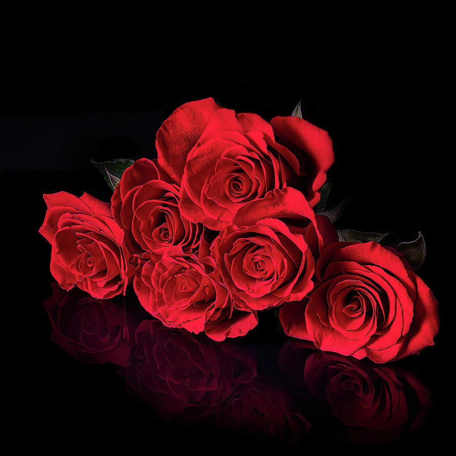 Roses Flower Photograph - Red Roses on Black - Reflection by Lily Malor