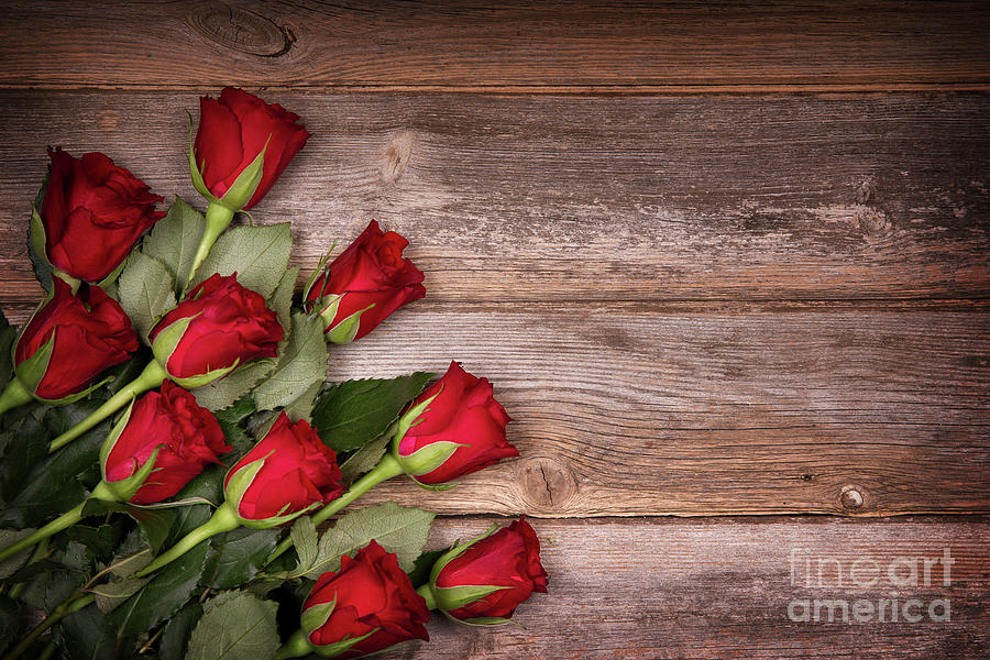 Red roses on old wood Photograph by Jane Rix