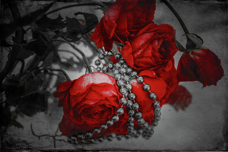 Red Roses Photograph by Sharon Popek