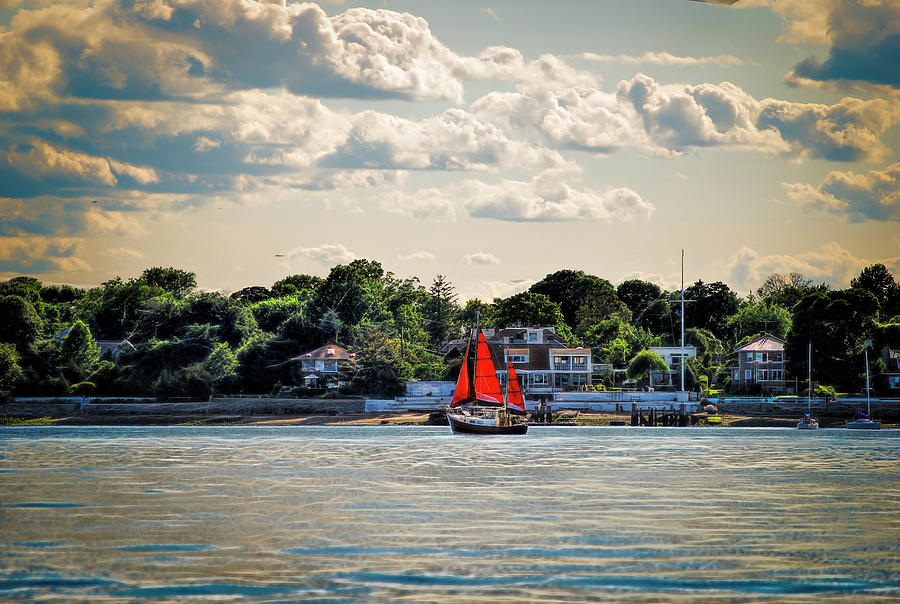 Red Sails At City Island Photograph by Cordia Murphy