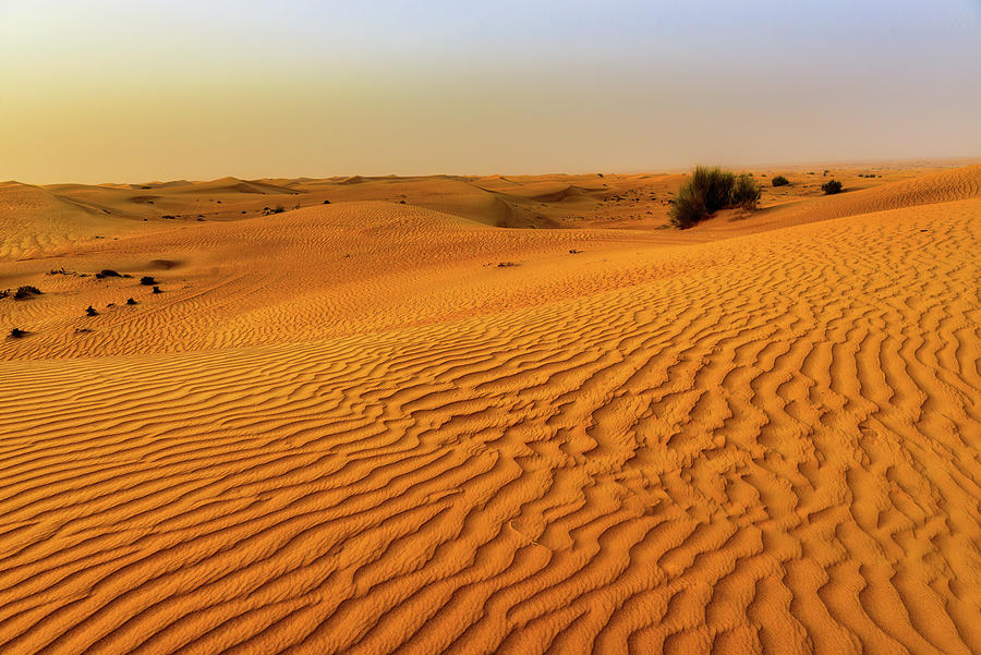 Red Sand Photograph By Jan Fijolek - Fine Art America