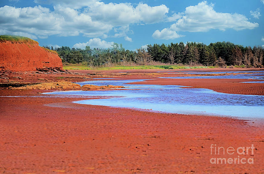 Red Sands  Of Prince Edward Island Photograph