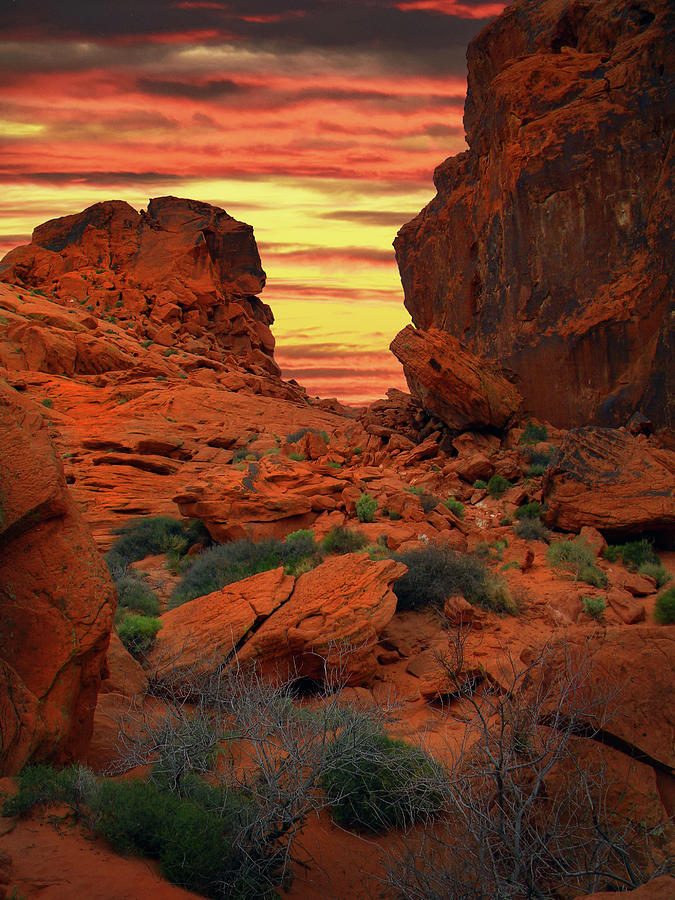 Red Sandstone Formations Valley Of Fire Photograph by Frank Wilson