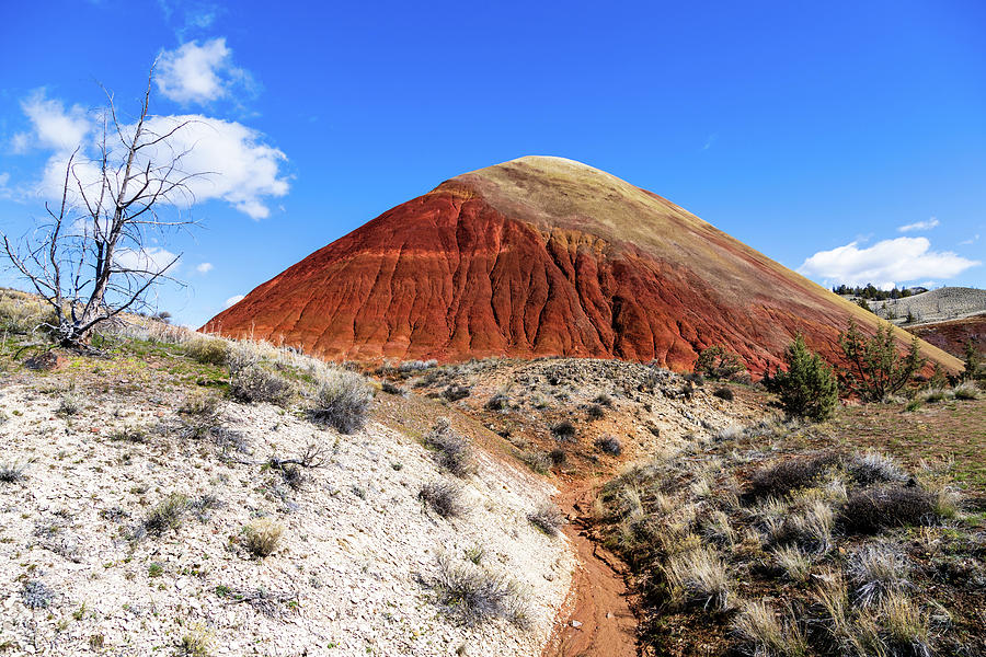 Red Scar Knoll Trail, Painted Hills Oregon 2 Photograph by Aashish Vaidya
