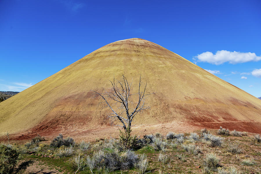 Red Scar Knoll Trail, Painted Hills Oregon 3 Photograph by Aashish Vaidya