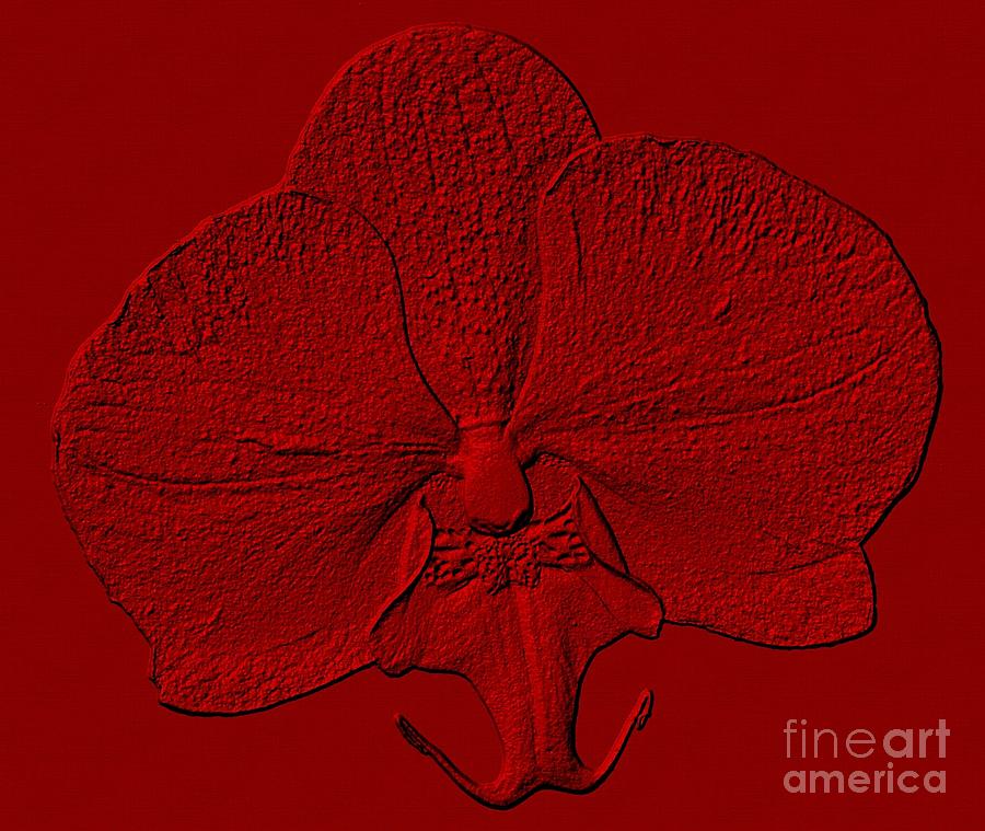 Red Sculpture of an Orchid Photograph by Rose Santuci-Sofranko