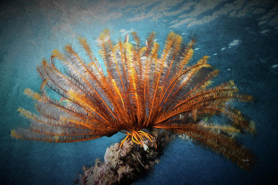 Red Sea Fern Digital Art