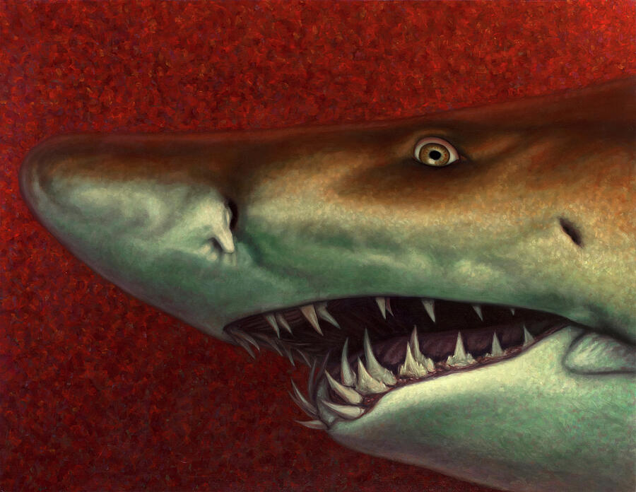 Fish Painting - Red Sea Shark by James W Johnson