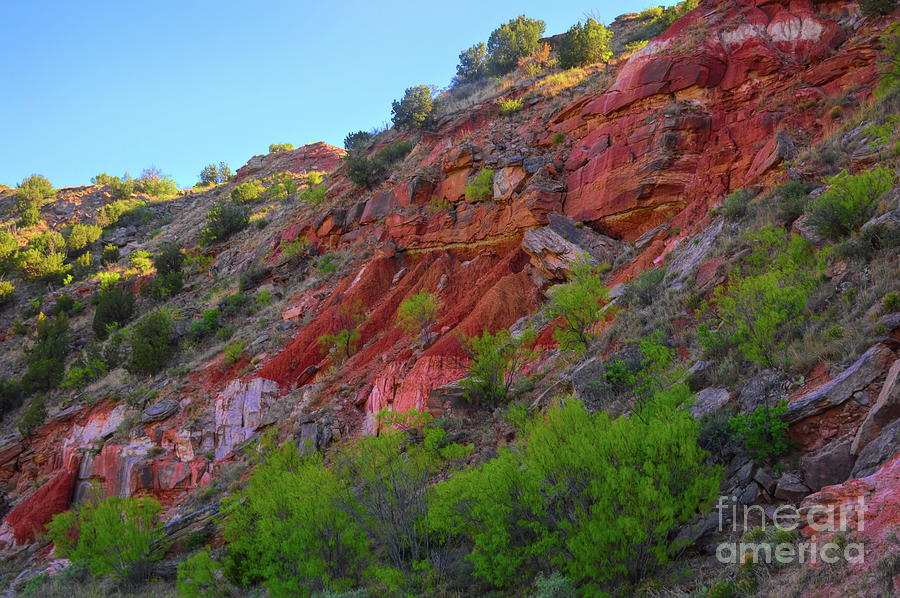 Red Sedimentary Rock Photograph by Diana Mary Sharpton