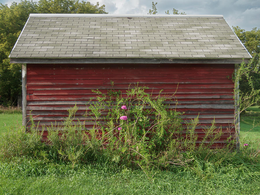Flower Photograph - Red Shed Pink Flowers Rural Michigan Farm by Mary Lee Dereske