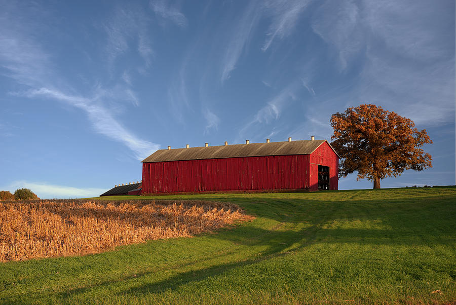 Red Shed - Tobacco shed in beautiful autumn setting with corn stubble ...