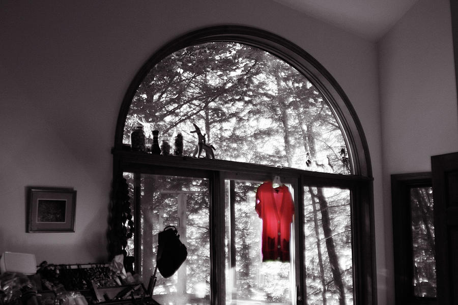 Red Shirt in an Arched Window Photograph by Wayne King