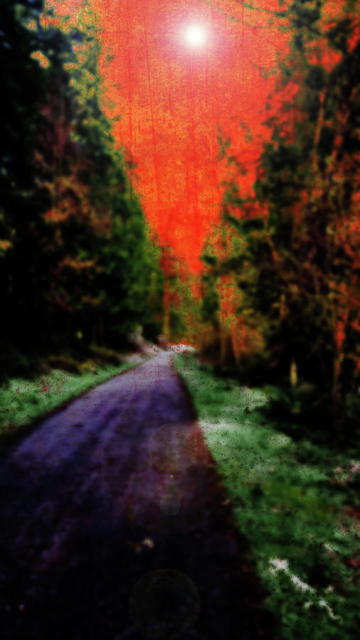 Red Sky At Night Along A Lonely Road Mixed Media by Marie Jamieson