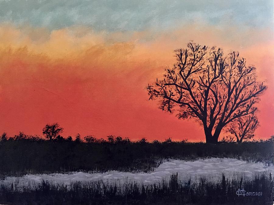 Red Sky At Night... Painting by Cynthia Morgan