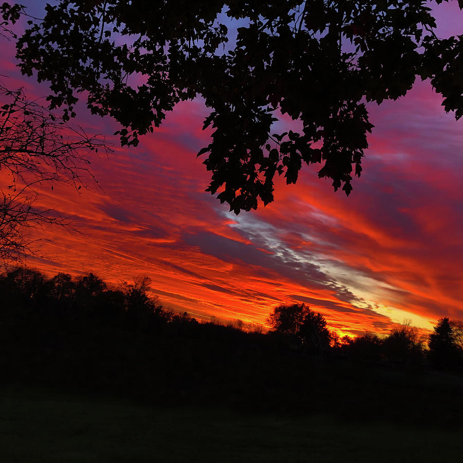 Red Sky At Night Photograph By Denise Harty - Fine Art America