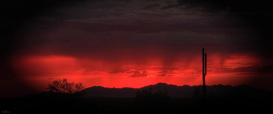 Red Sky at Night Photograph by Rick Furmanek