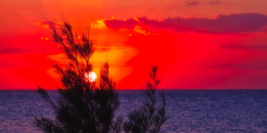 Sunset Photograph - Red sky at night by Tatiana Travelways